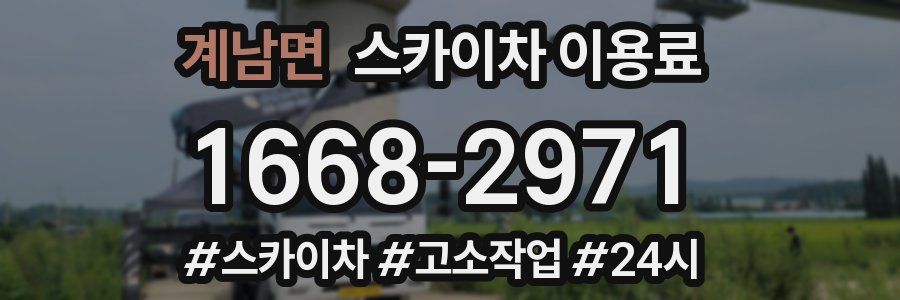 계남면 스카이차 이용료