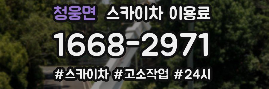 청웅면 스카이차 이용료