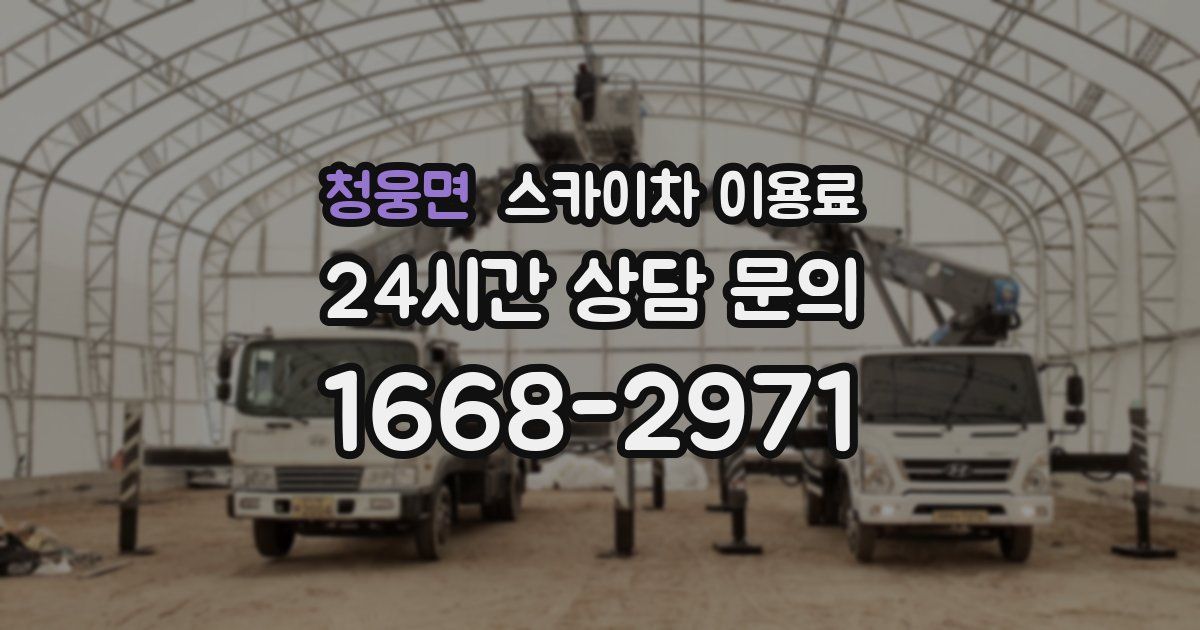 청웅면 스카이차 이용료