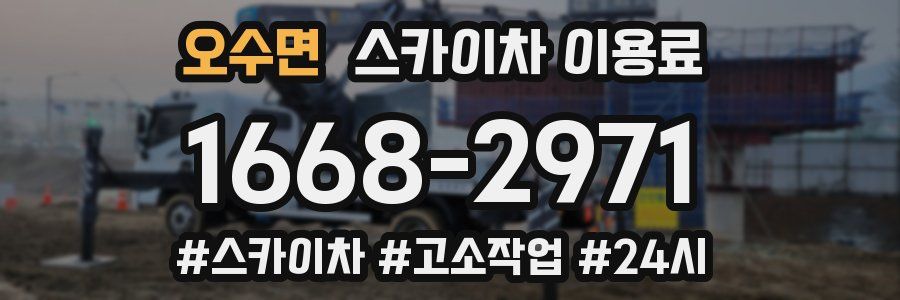 오수면 스카이차 이용료