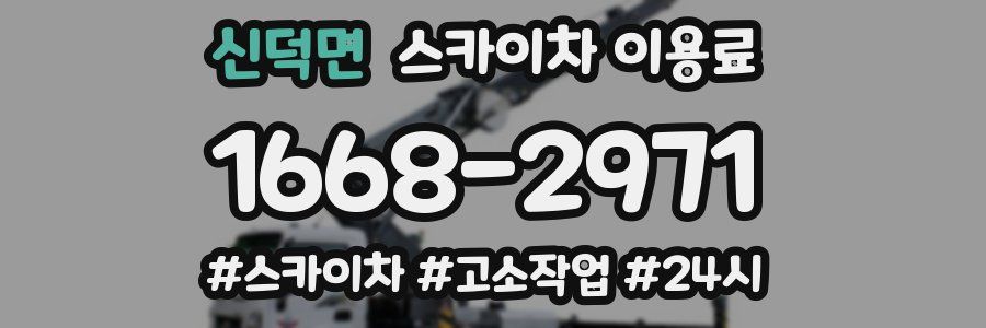 신덕면 스카이차 이용료