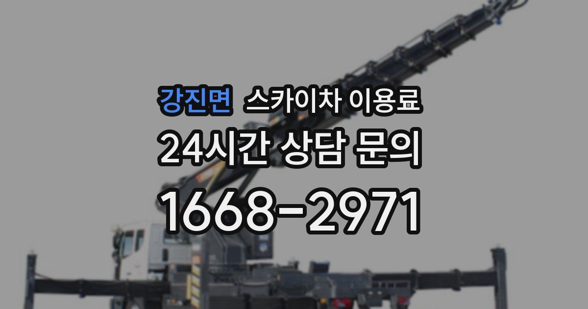 강진면 스카이차 이용료