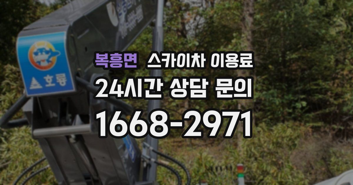 복흥면 스카이차 이용료