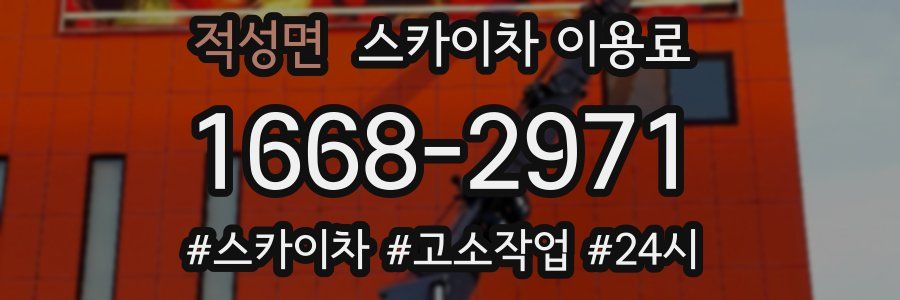 적성면 스카이차 이용료