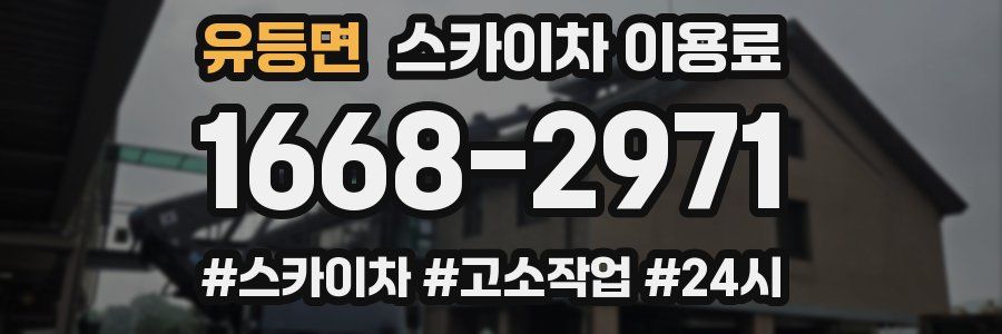 유등면 스카이차 이용료