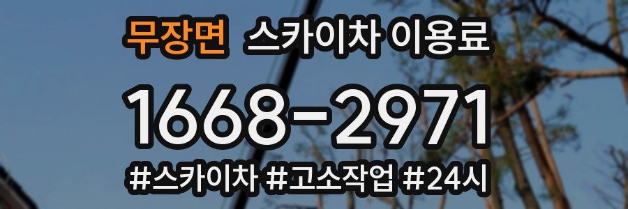 무장면 스카이차 이용료