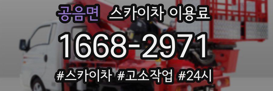 공음면 스카이차 이용료