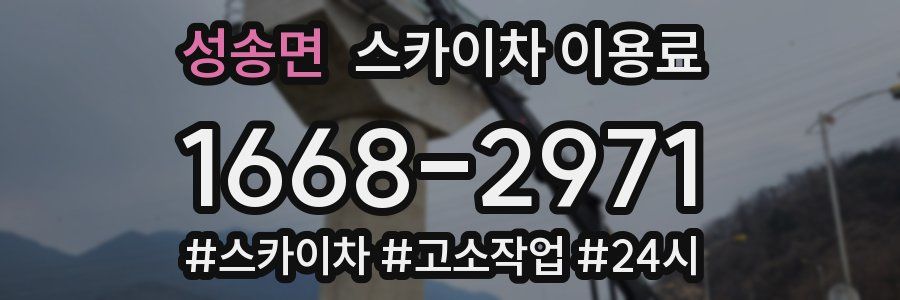 성송면 스카이차 이용료