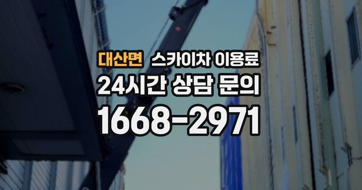 대산면 스카이차 이용료