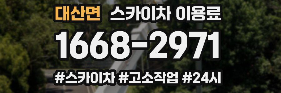 대산면 스카이차 이용료