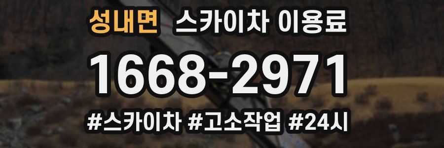 성내면 스카이차 이용료