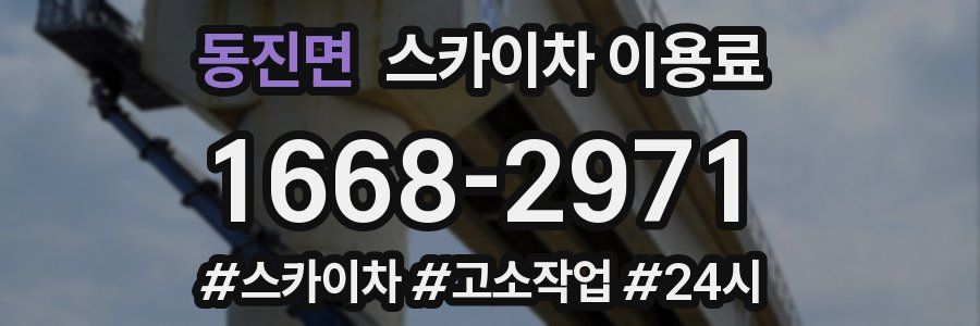 동진면 스카이차 이용료