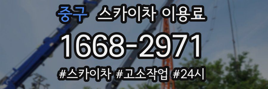 중구 스카이차 이용료