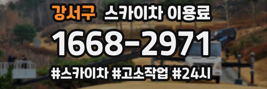 강서구 스카이차 이용료