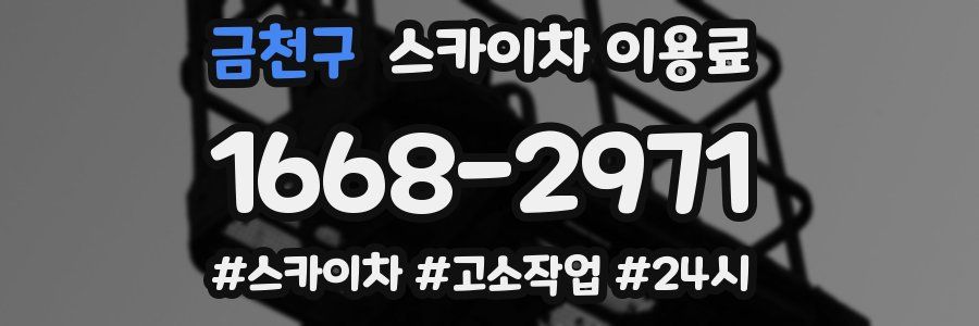 금천구 스카이차 이용료