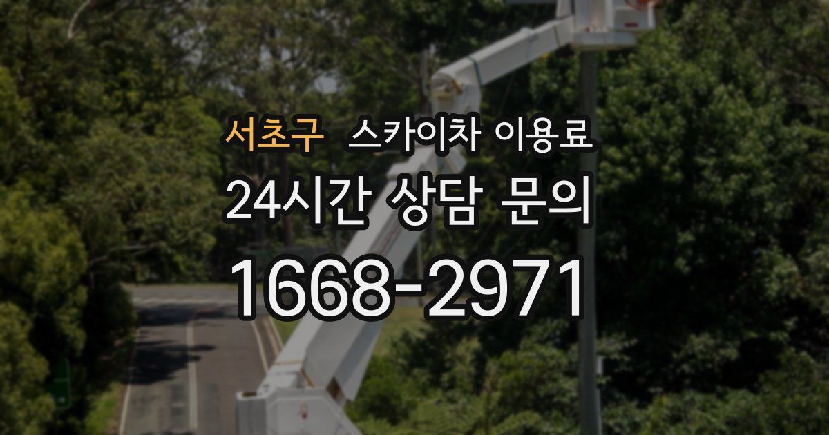 서초구 스카이차 이용료