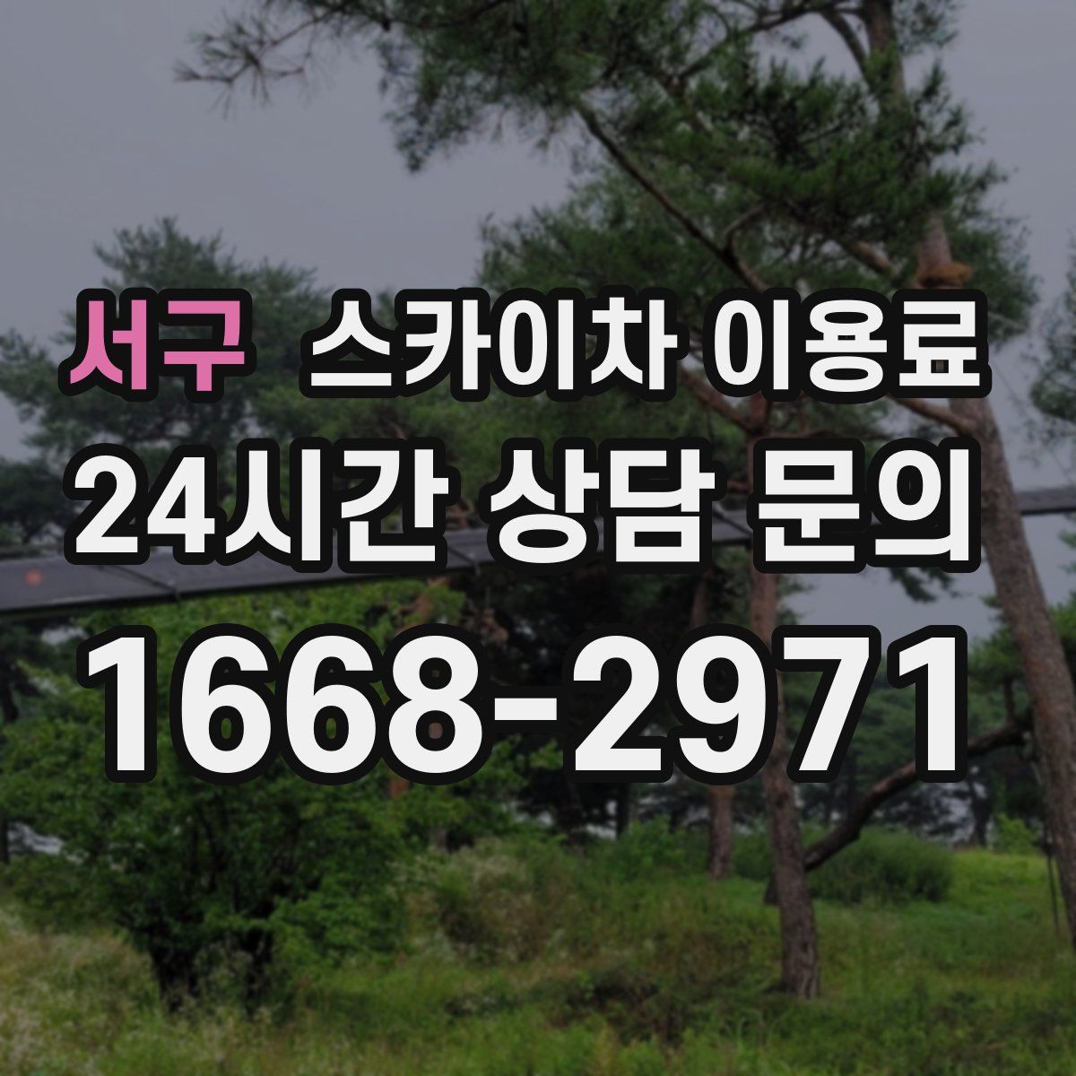 서구 스카이차 이용료