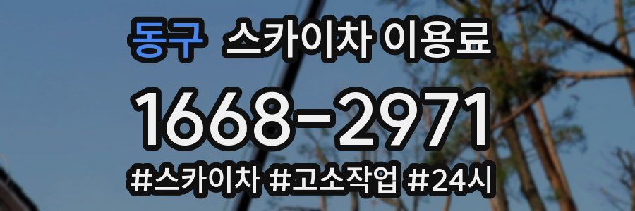 동구 스카이차 이용료