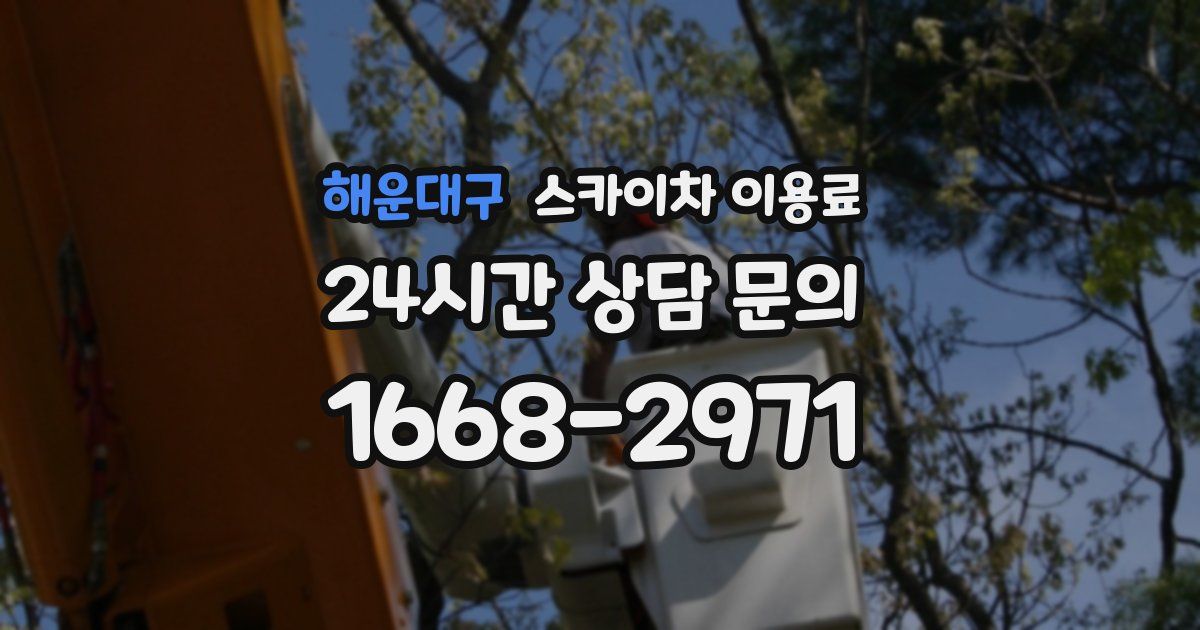 해운대구 스카이차 이용료