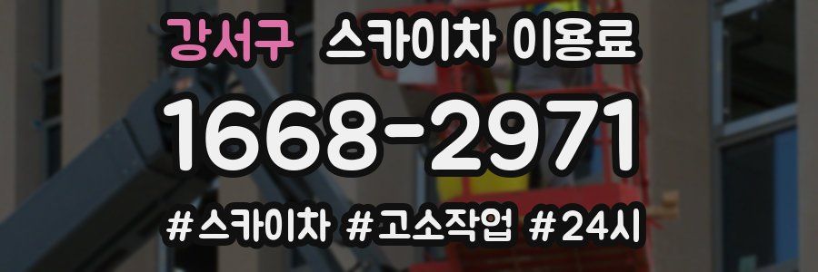 강서구 스카이차 이용료