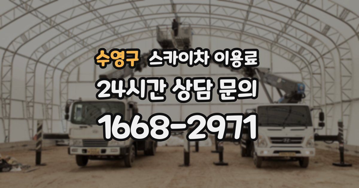 수영구 스카이차 이용료
