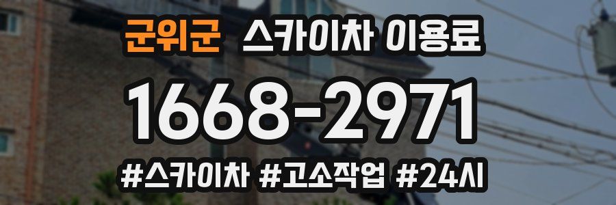군위군 스카이차 이용료
