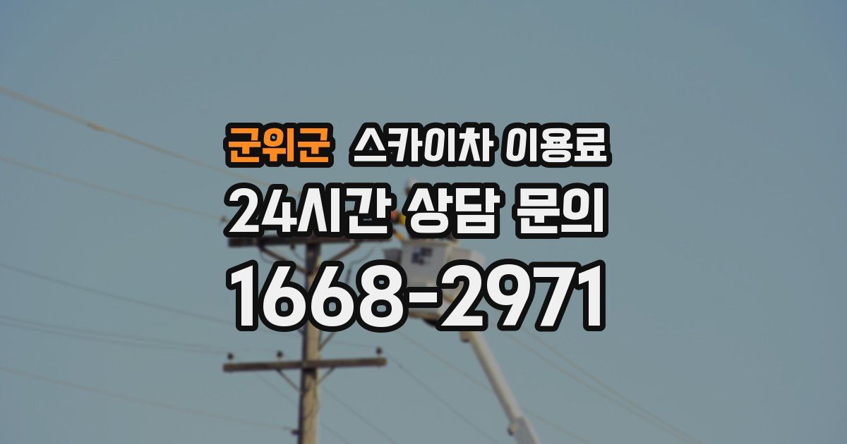 군위군 스카이차 이용료