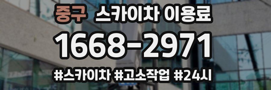 중구 스카이차 이용료