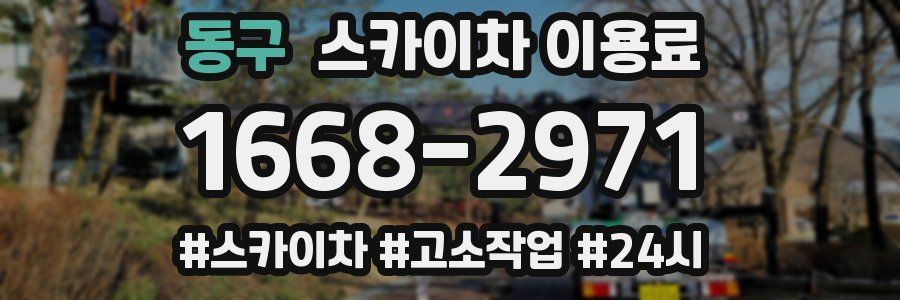 동구 스카이차 이용료