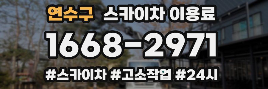 연수구 스카이차 이용료