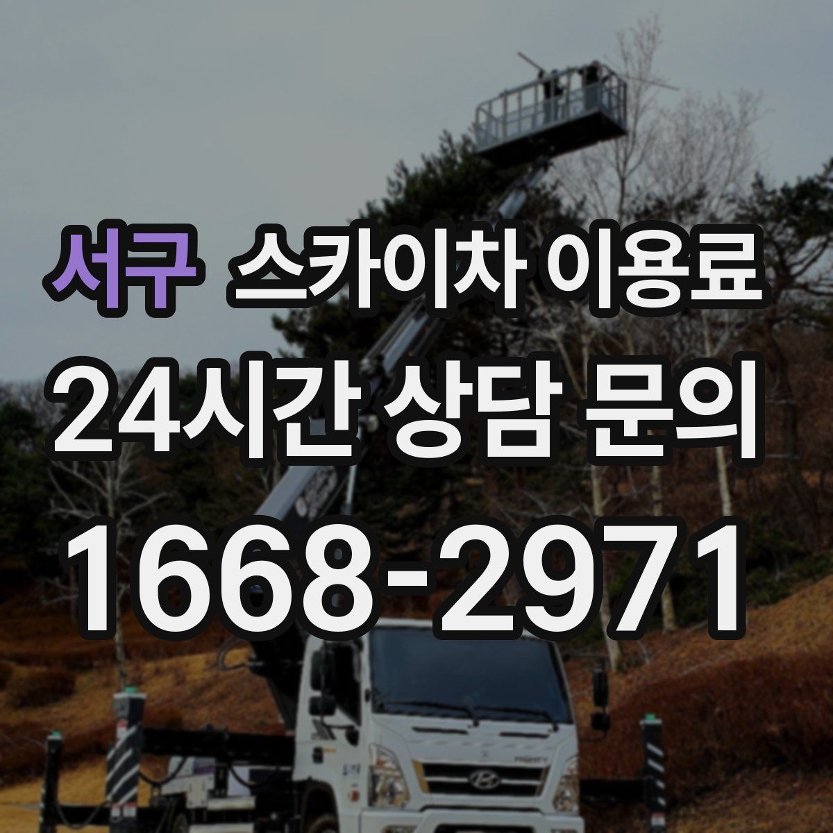 서구 스카이차 이용료