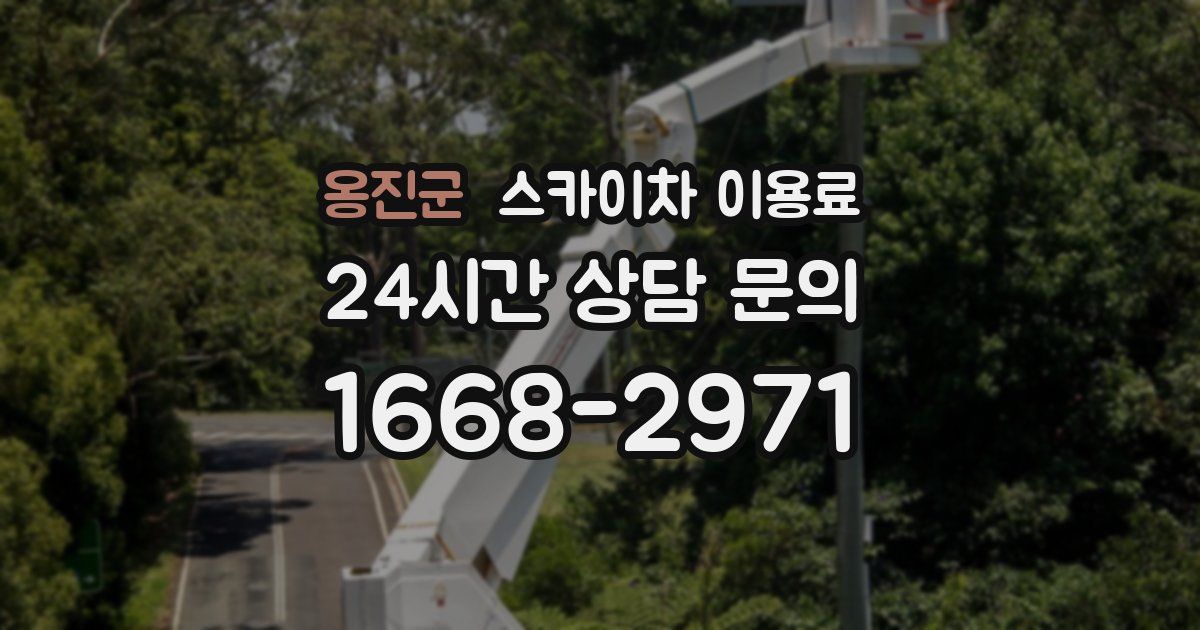 옹진군 스카이차 이용료