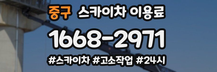 중구 스카이차 이용료