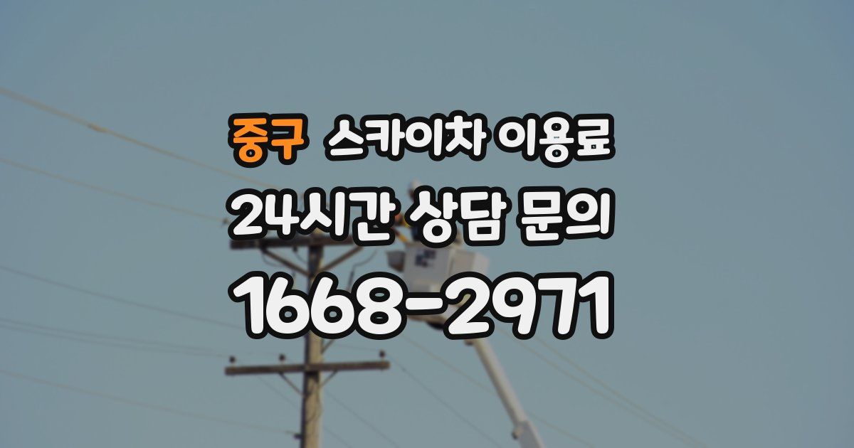 중구 스카이차 이용료