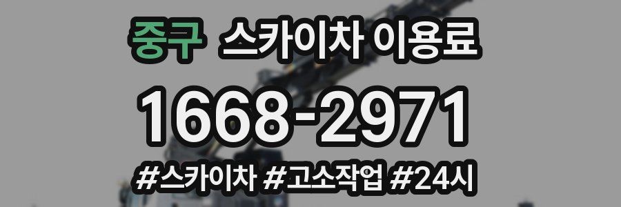 중구 스카이차 이용료