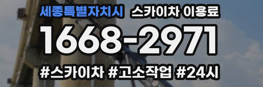 세종특별자치시 스카이차 이용료