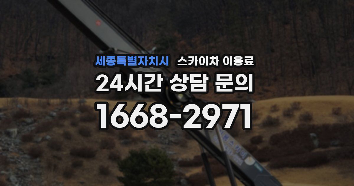 세종특별자치시 스카이차 이용료