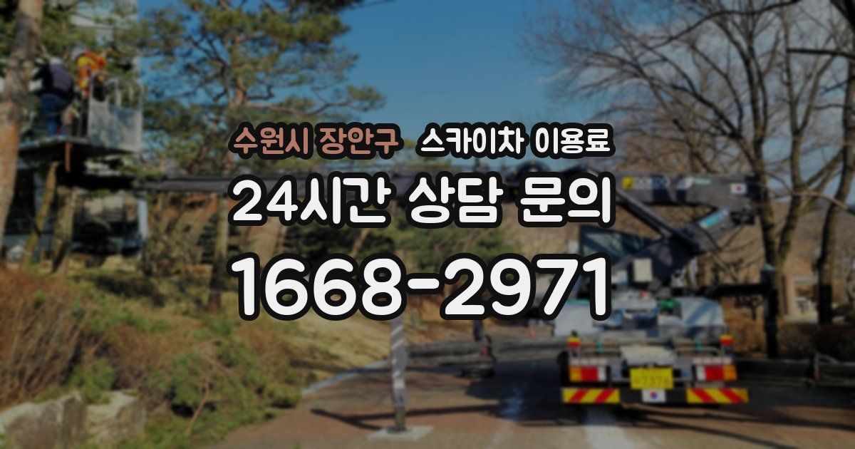 수원시 장안구 스카이차 이용료