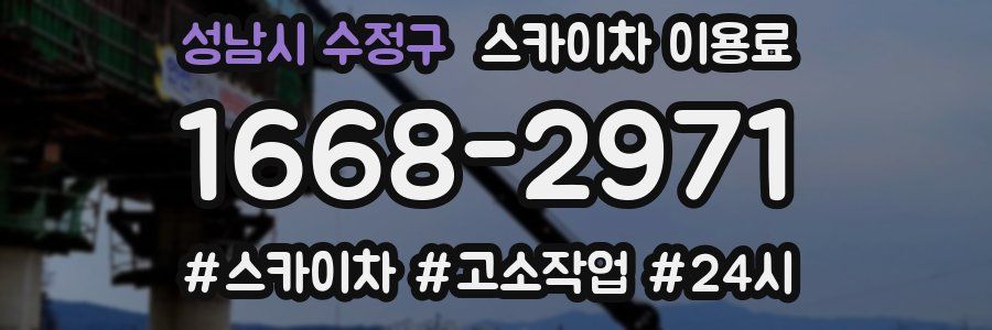 성남시 수정구 스카이차 이용료