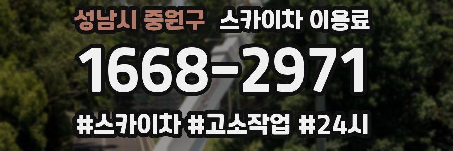 성남시 중원구 스카이차 이용료