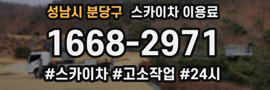 성남시 분당구 스카이차 이용료