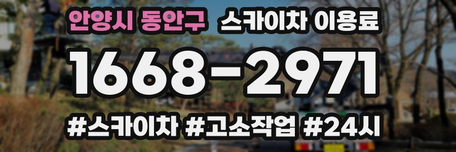 안양시 동안구 스카이차 이용료