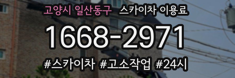 고양시 일산동구 스카이차 이용료