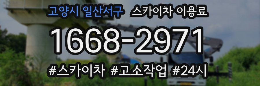 고양시 일산서구 스카이차 이용료