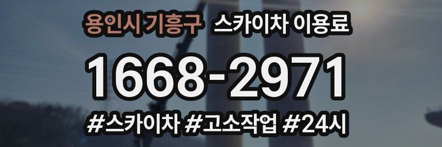 용인시 기흥구 스카이차 이용료