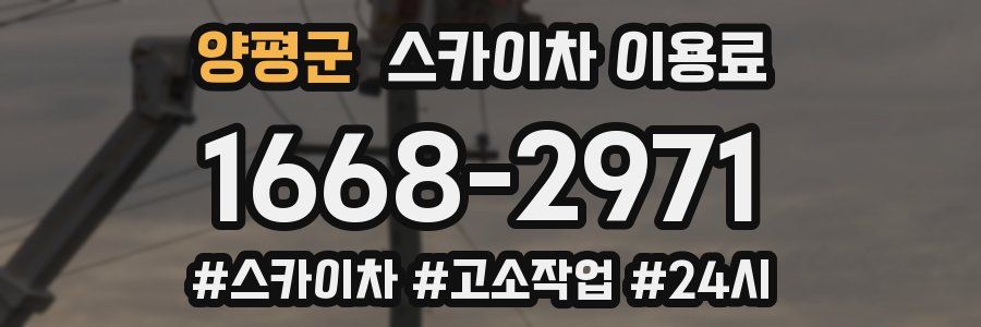 양평군 스카이차 이용료