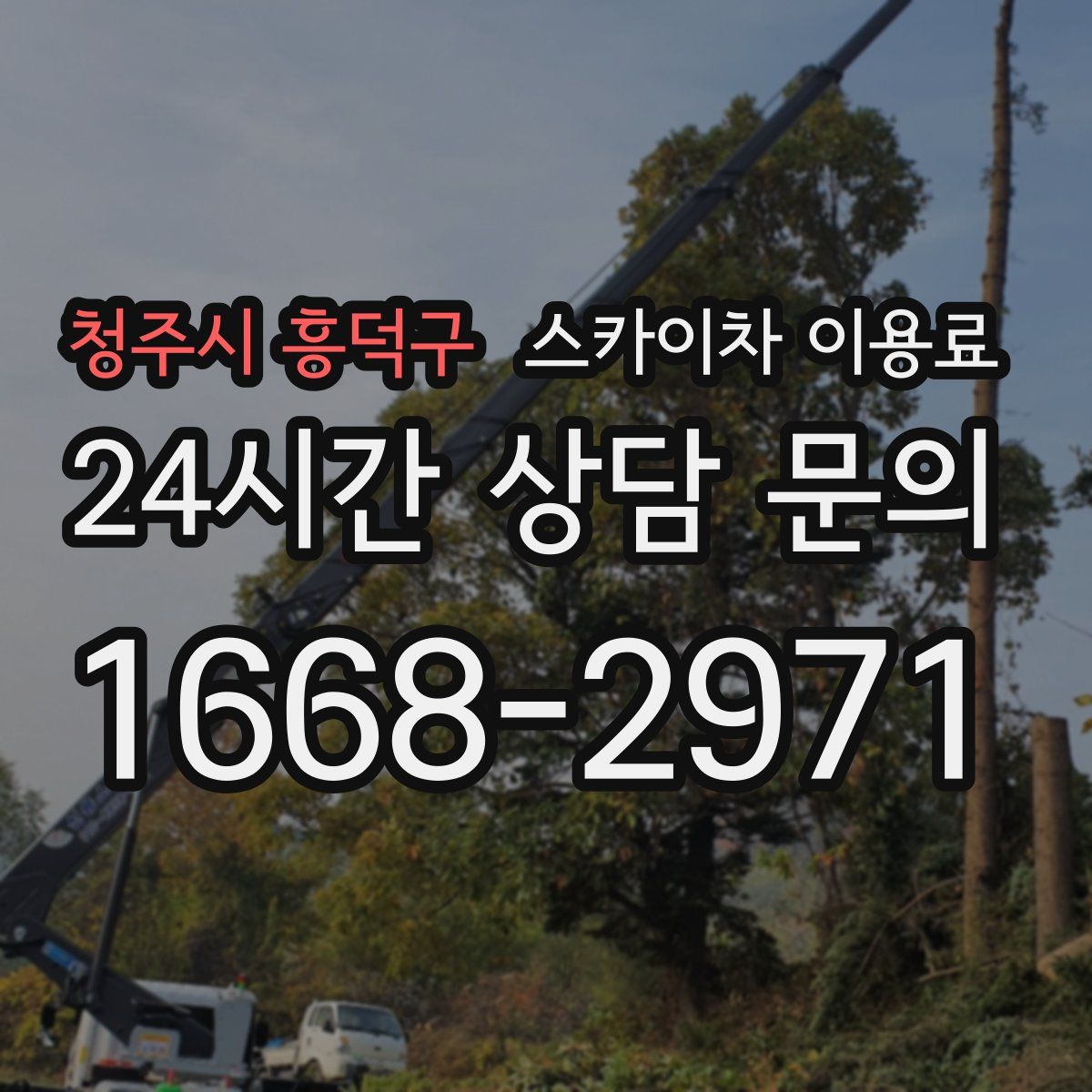 청주시 흥덕구 스카이차 이용료