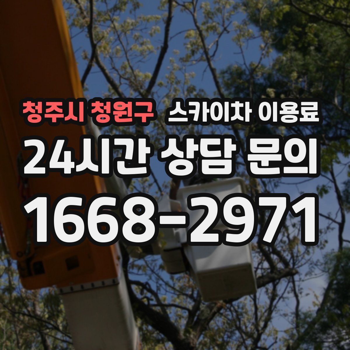 청주시 청원구 스카이차 이용료