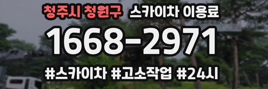 청주시 청원구 스카이차 이용료