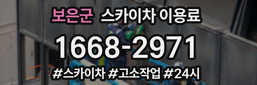 보은군 스카이차 이용료